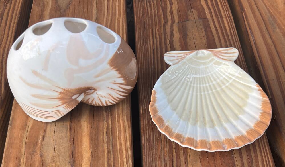 Tiger NAUTILUS SHELL Toothbrush Holder Better Homes & Gardens Beach Ocean Lot 2